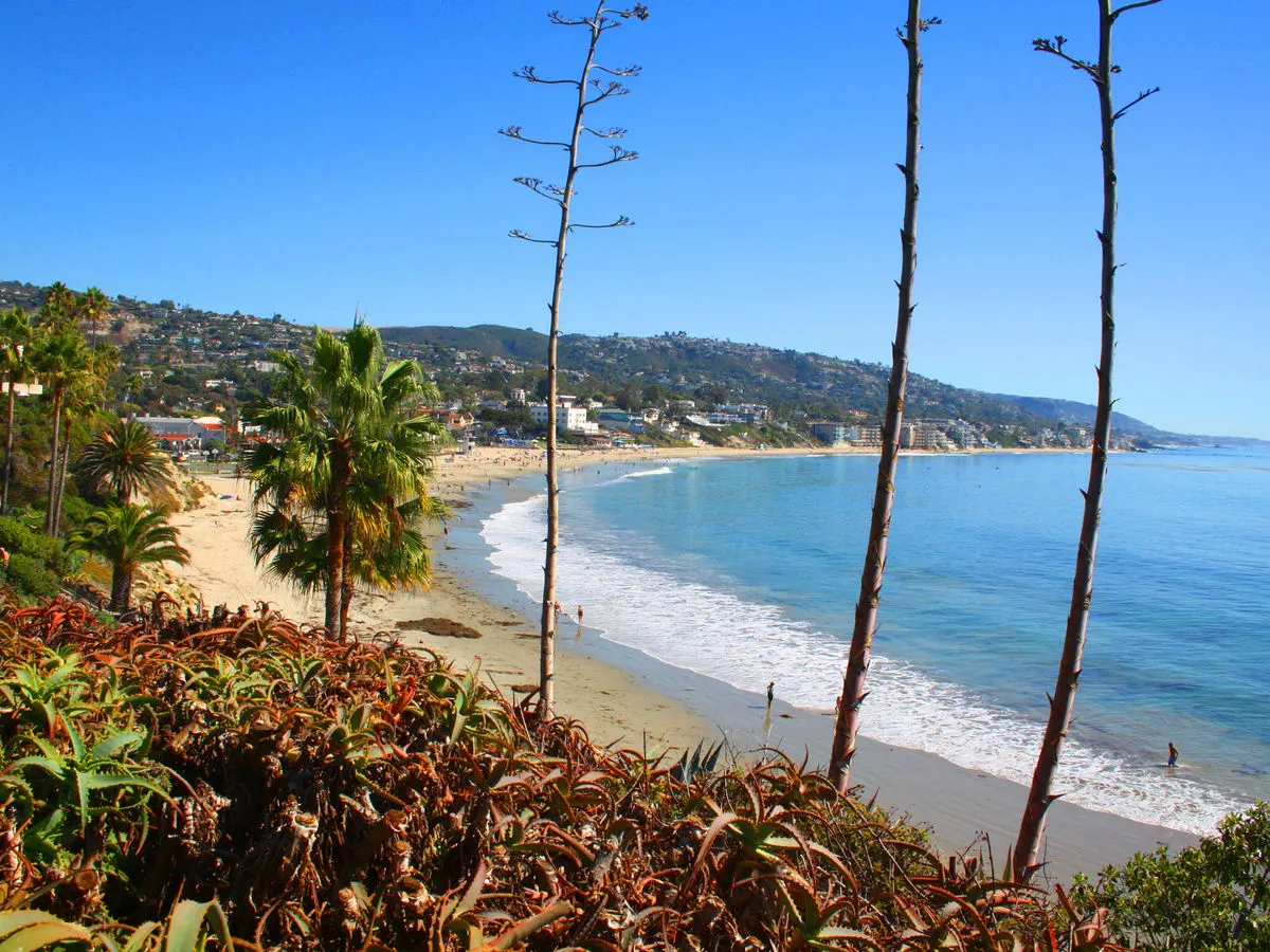 Tree work high in a Laguna canyon